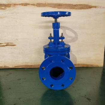 J41T DIN F1  GLOBE VALVE