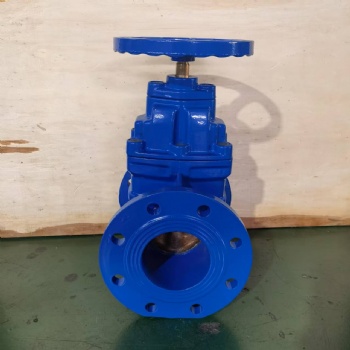 National standard hard-sealed gate valve