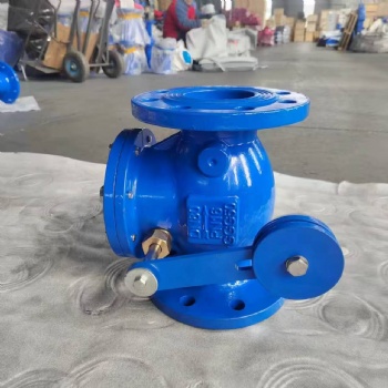 H44T ANSI CAST IRON SWING CHECK VALVE