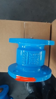 Silencing check valve