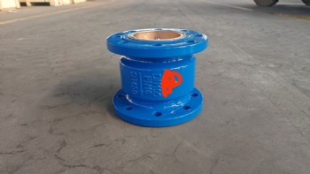 Silencing check valve