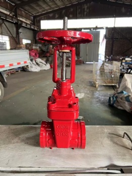 Grooved gate valve