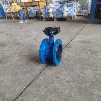 Double flange butterfly valve