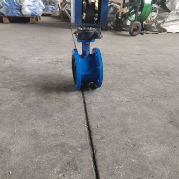 Double flange butterfly valve