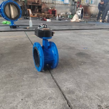 Double flange butterfly valve
