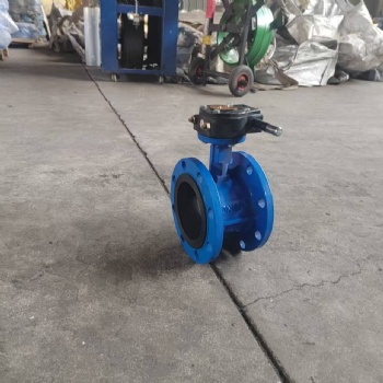 Double flange butterfly valve