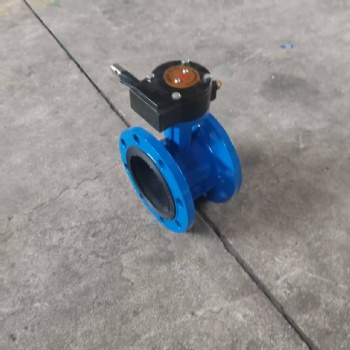 Double flange butterfly valve