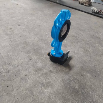 Wafer butterfly valve