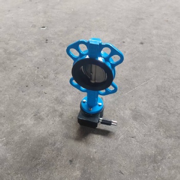 Wafer butterfly valve